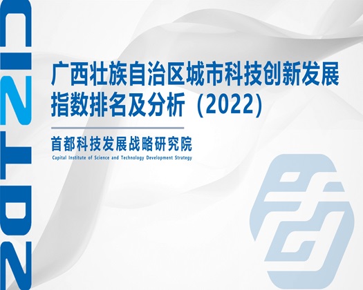 啊啊啊要射了啊啊啊视频【成果发布】广西壮族自治区城市科技创新发展指数排名及分析（2022）